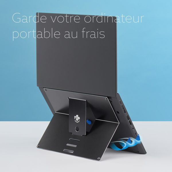 R-Go Treepod Support pour ordinateur portable et tablette - R-Go Tools