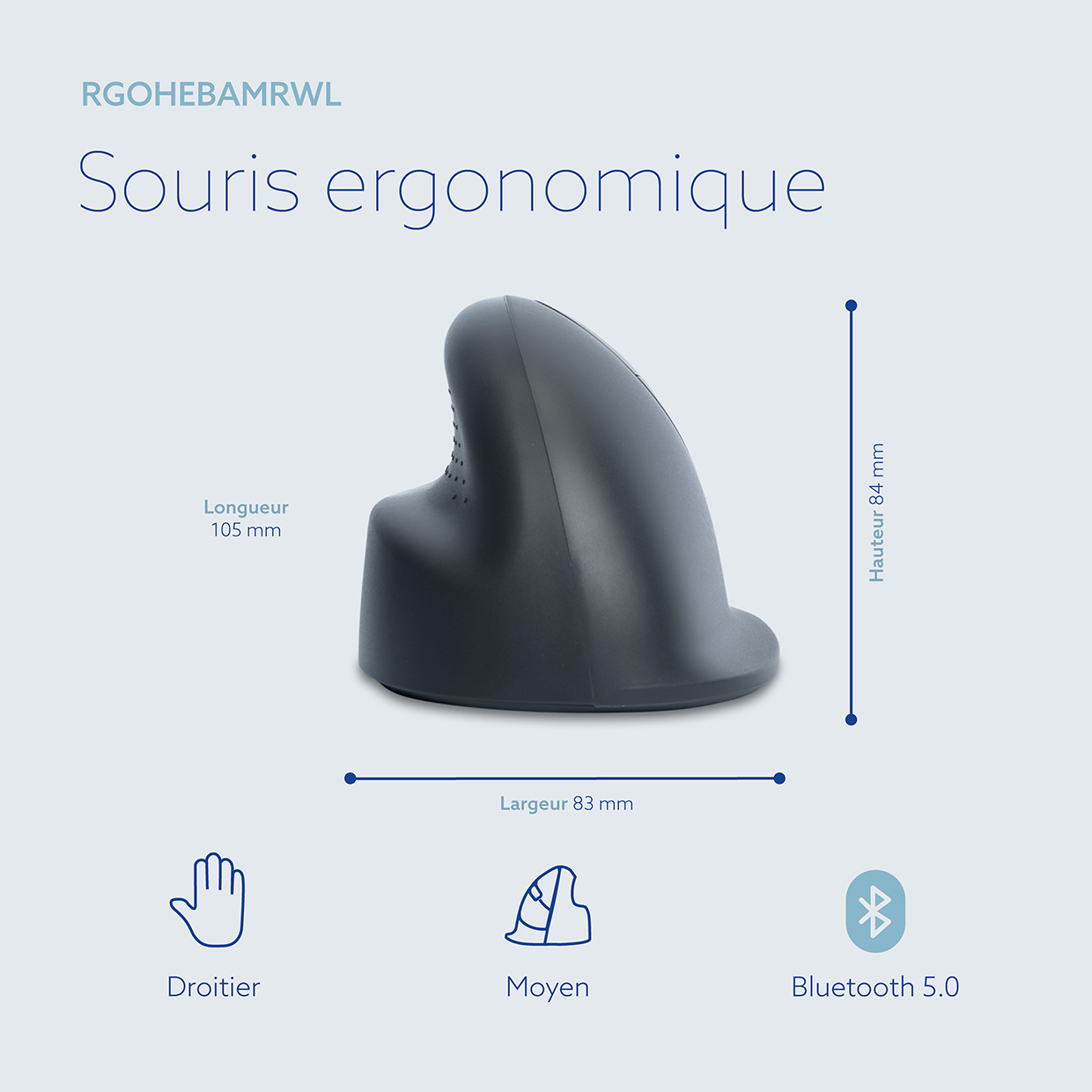 31-RGOHEBAMRWL-WEB